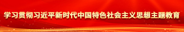 大鸡巴撑开小穴视频学习贯彻习近平新时代中国特色社会主义思想主题教育