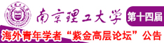 用力草我南京理工大学第十四届海外青年学者紫金论坛诚邀海内外英才！